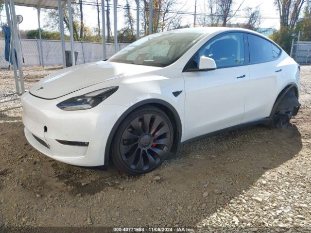 Photo 1 VIN: 7SAYGDEF7RF036501 - TESLA MODEL Y 