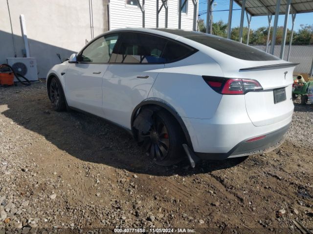 Photo 2 VIN: 7SAYGDEF7RF036501 - TESLA MODEL Y 