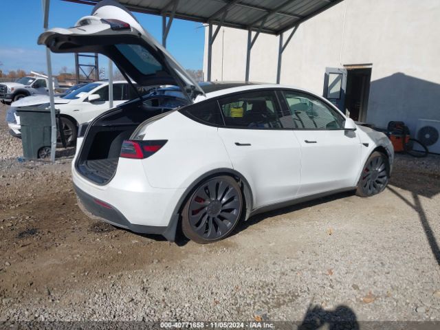 Photo 3 VIN: 7SAYGDEF7RF036501 - TESLA MODEL Y 