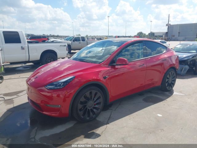 Photo 1 VIN: 7SAYGDEF8PF763563 - TESLA MODEL Y 