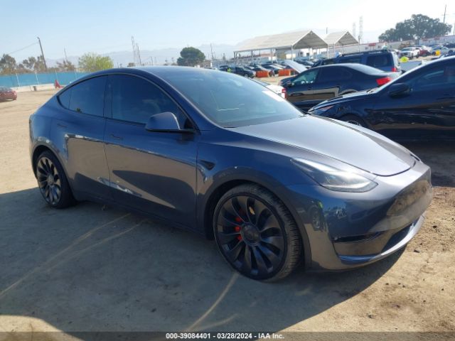 Photo 0 VIN: 7SAYGDEF8PF825429 - TESLA MODEL Y 