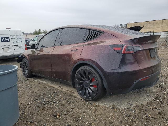 Photo 1 VIN: 7SAYGDEF8PF904308 - TESLA MODEL Y 