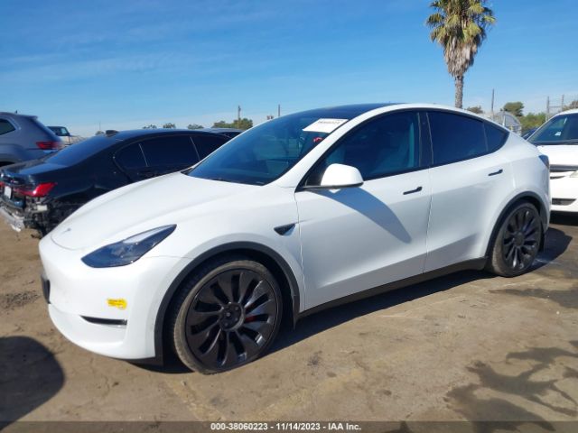 Photo 1 VIN: 7SAYGDEF9NF398498 - TESLA MODEL Y 