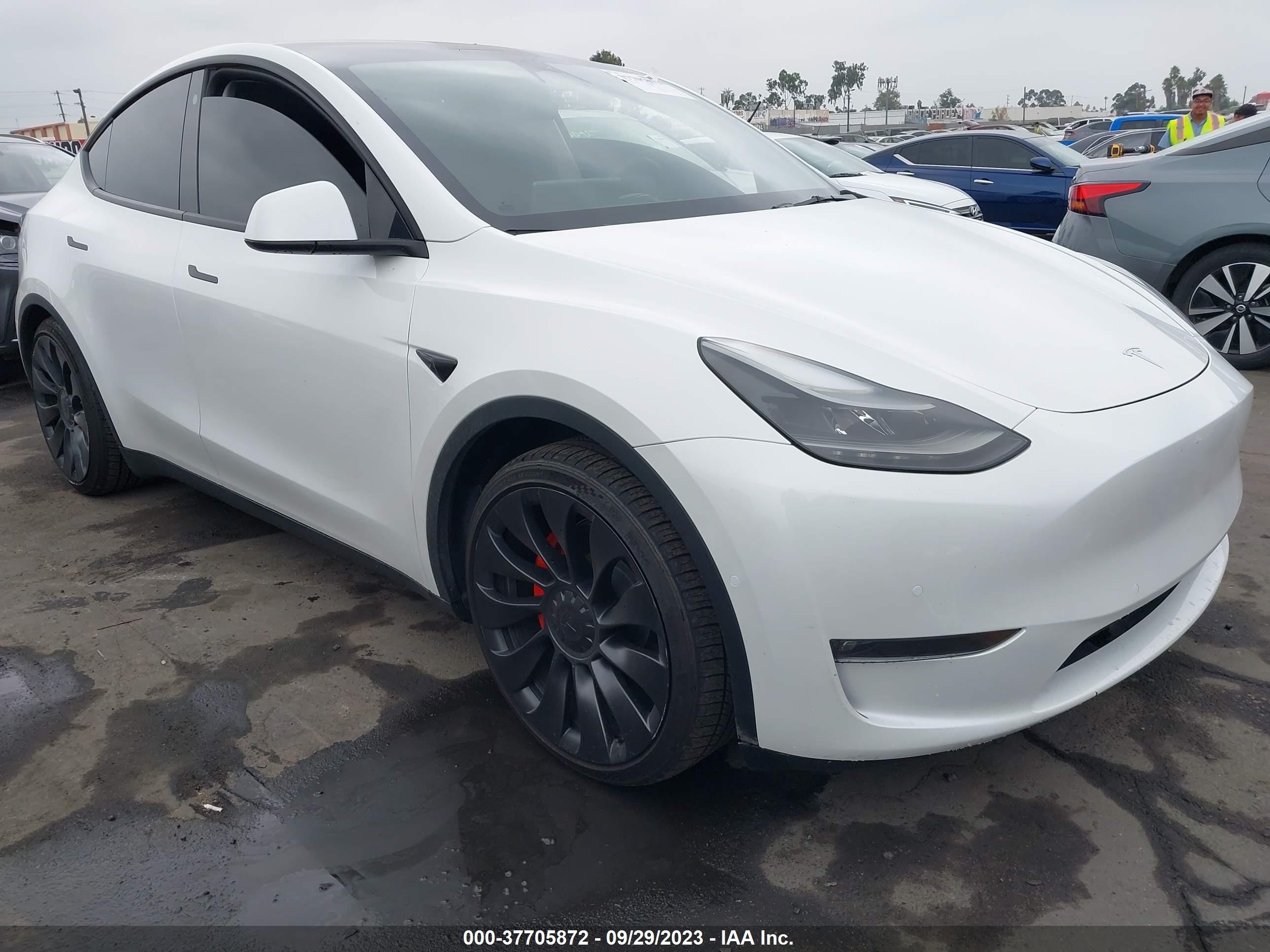 Photo 0 VIN: 7SAYGDEF9NF554572 - TESLA MODEL Y 