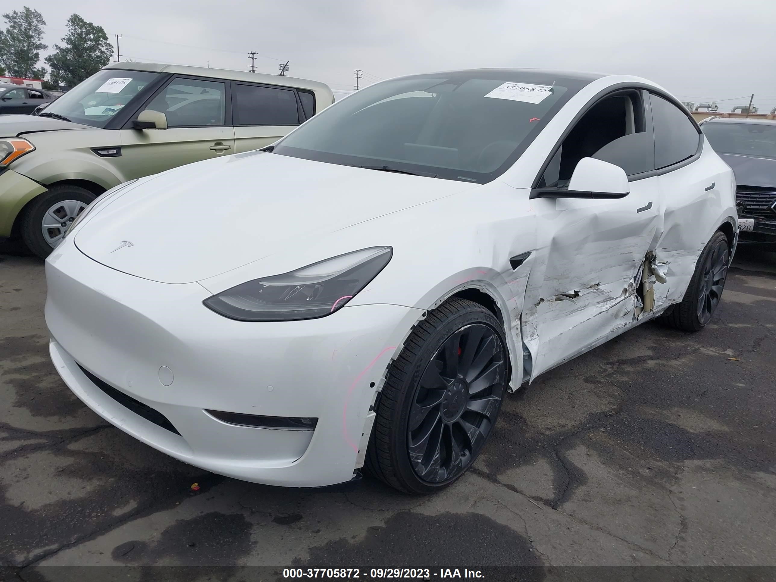 Photo 1 VIN: 7SAYGDEF9NF554572 - TESLA MODEL Y 