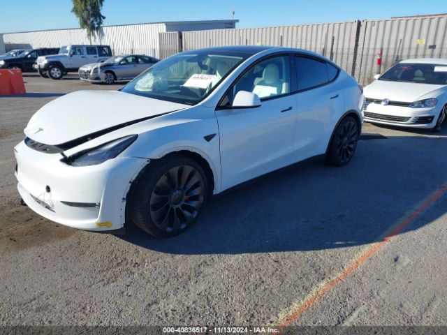 Photo 1 VIN: 7SAYGDEF9NF563983 - TESLA MODEL Y 