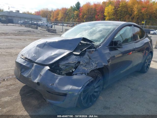 Photo 1 VIN: 7SAYGDEF9PF588806 - TESLA MODEL Y 