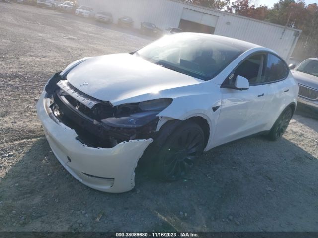 Photo 1 VIN: 7SAYGDEF9PF703016 - TESLA MODEL Y 