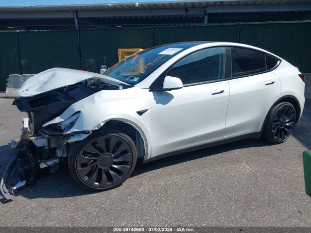 Photo 1 VIN: 7SAYGDEF9PF773938 - TESLA MODEL Y 