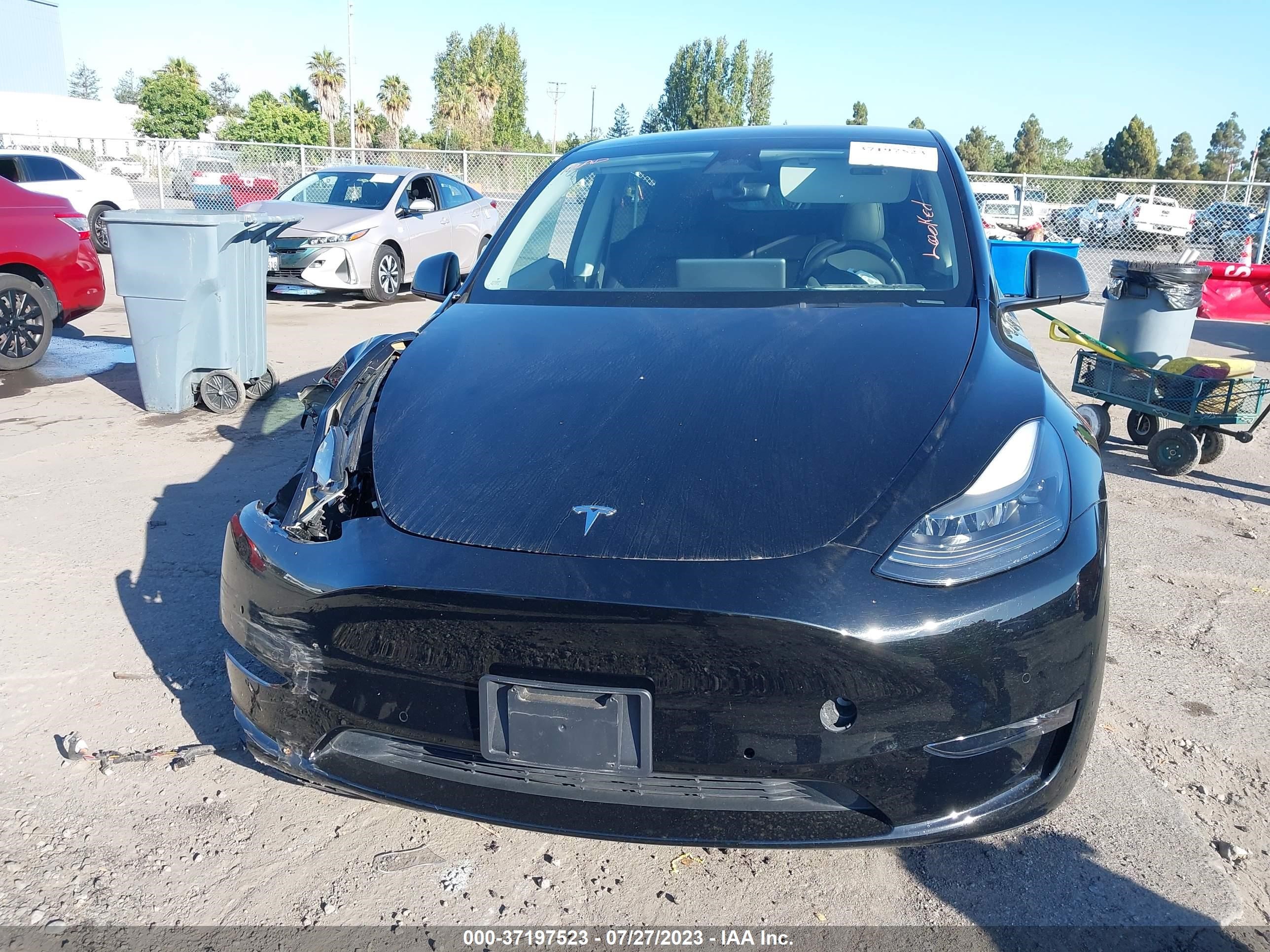 Photo 11 VIN: 7SAYGDEFXNF494625 - TESLA MODEL Y 