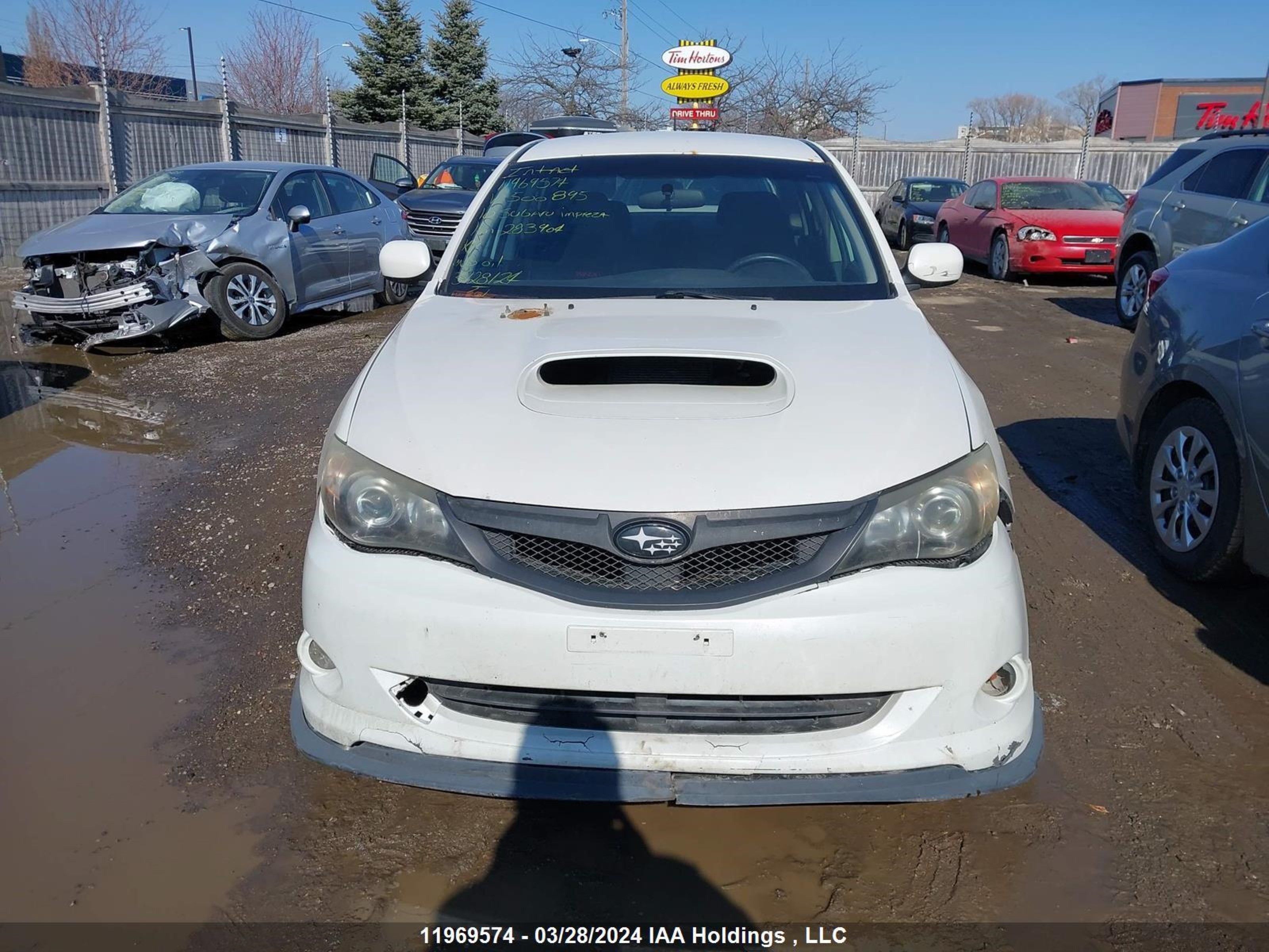 Photo 11 VIN: JF1GE7G61AG500895 - SUBARU IMPREZA 