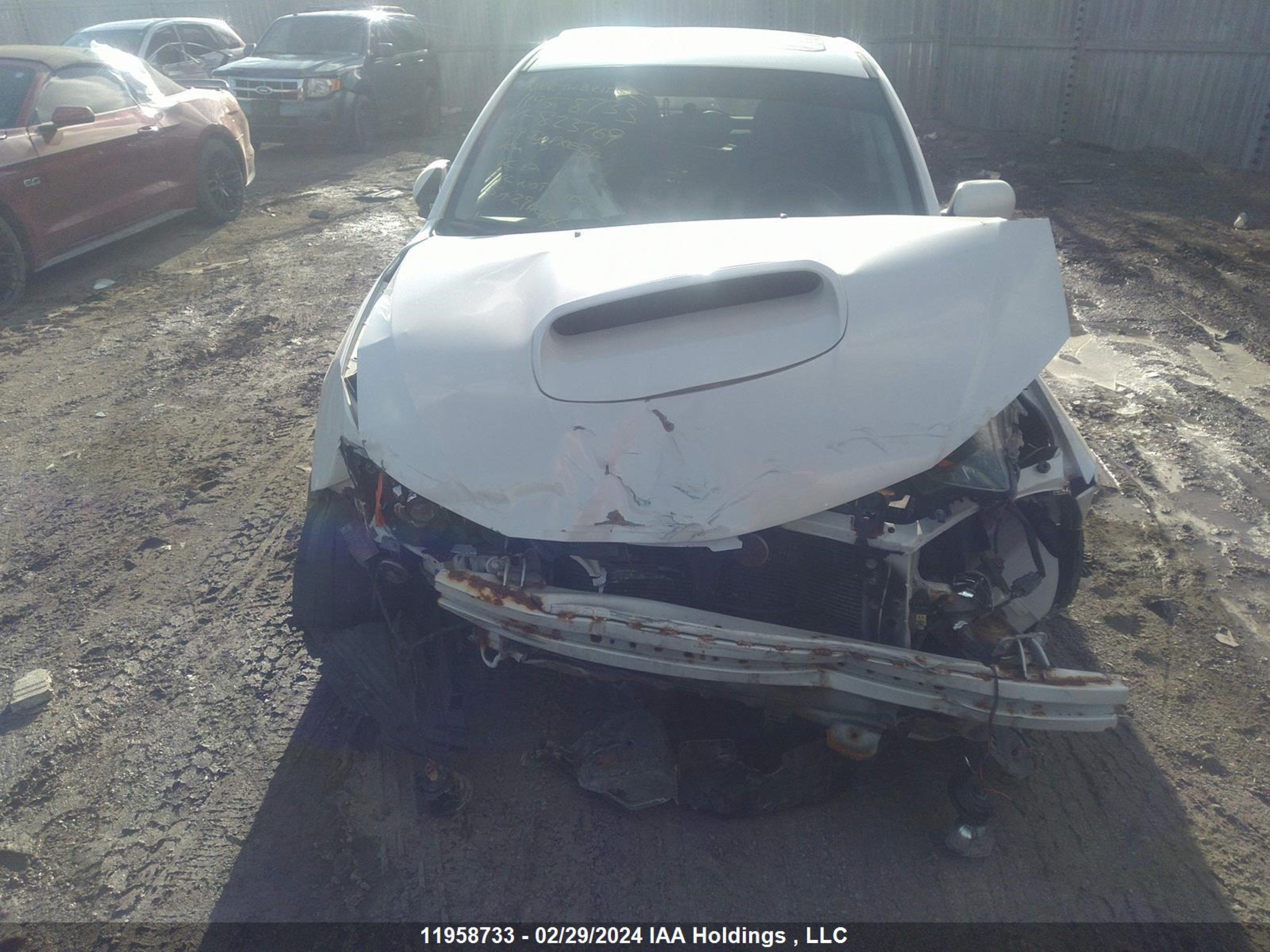 Photo 12 VIN: JF1GH76659G823769 - SUBARU IMPREZA 