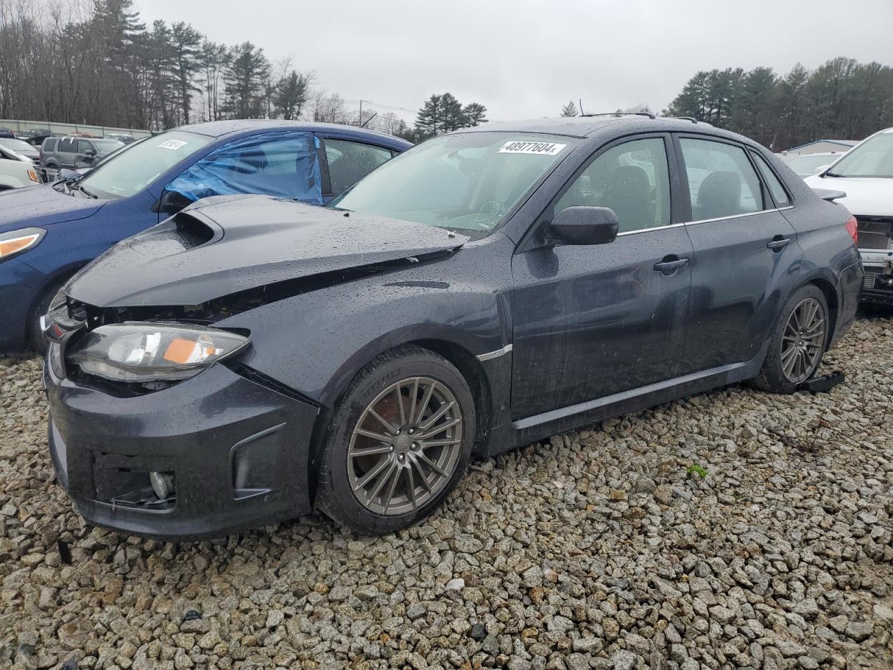 Photo 1 VIN: JF1GV7F61BG505839 - SUBARU WRX 