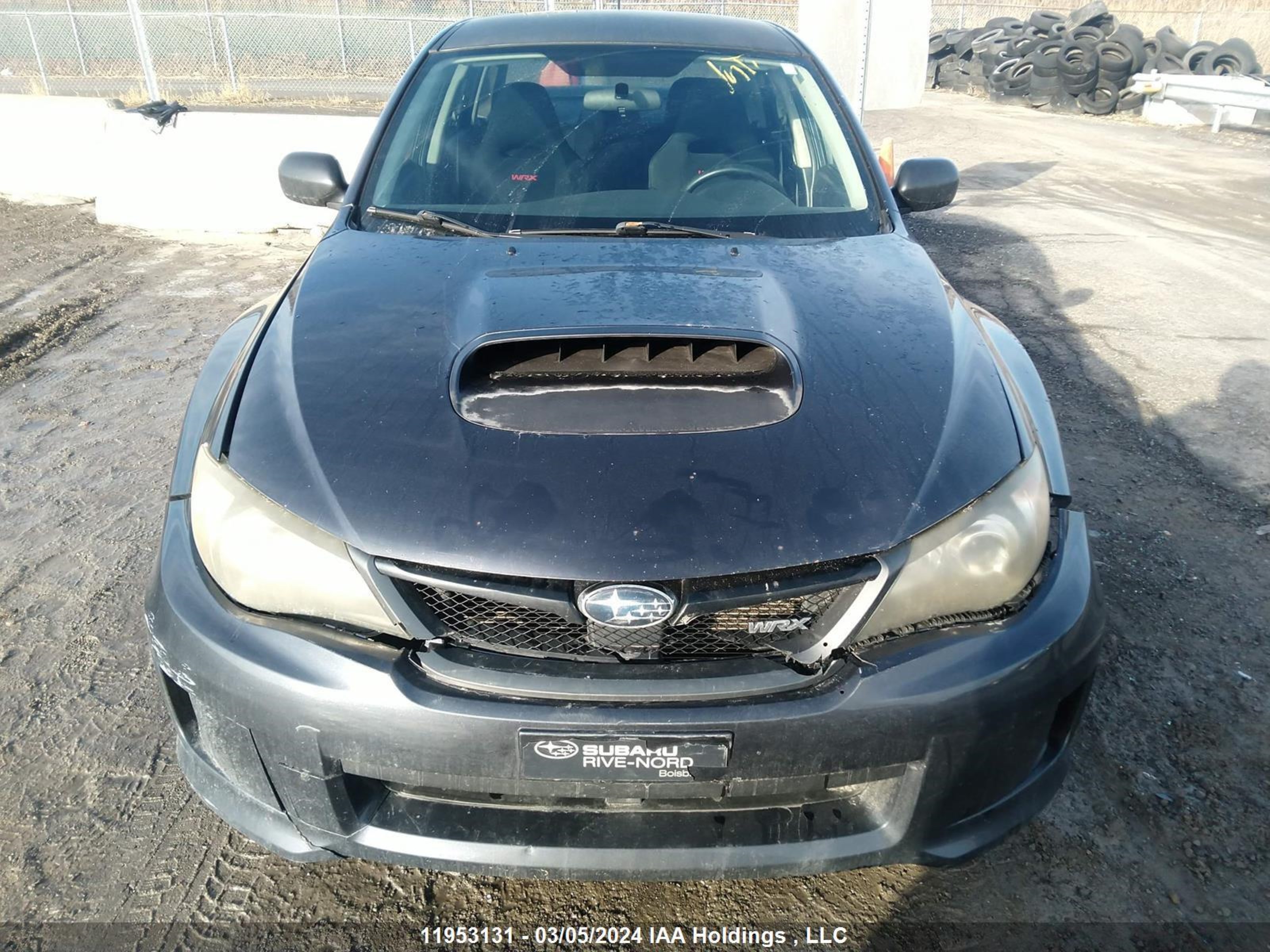 Photo 11 VIN: JF1GV7F68BG504090 - SUBARU IMPREZA 