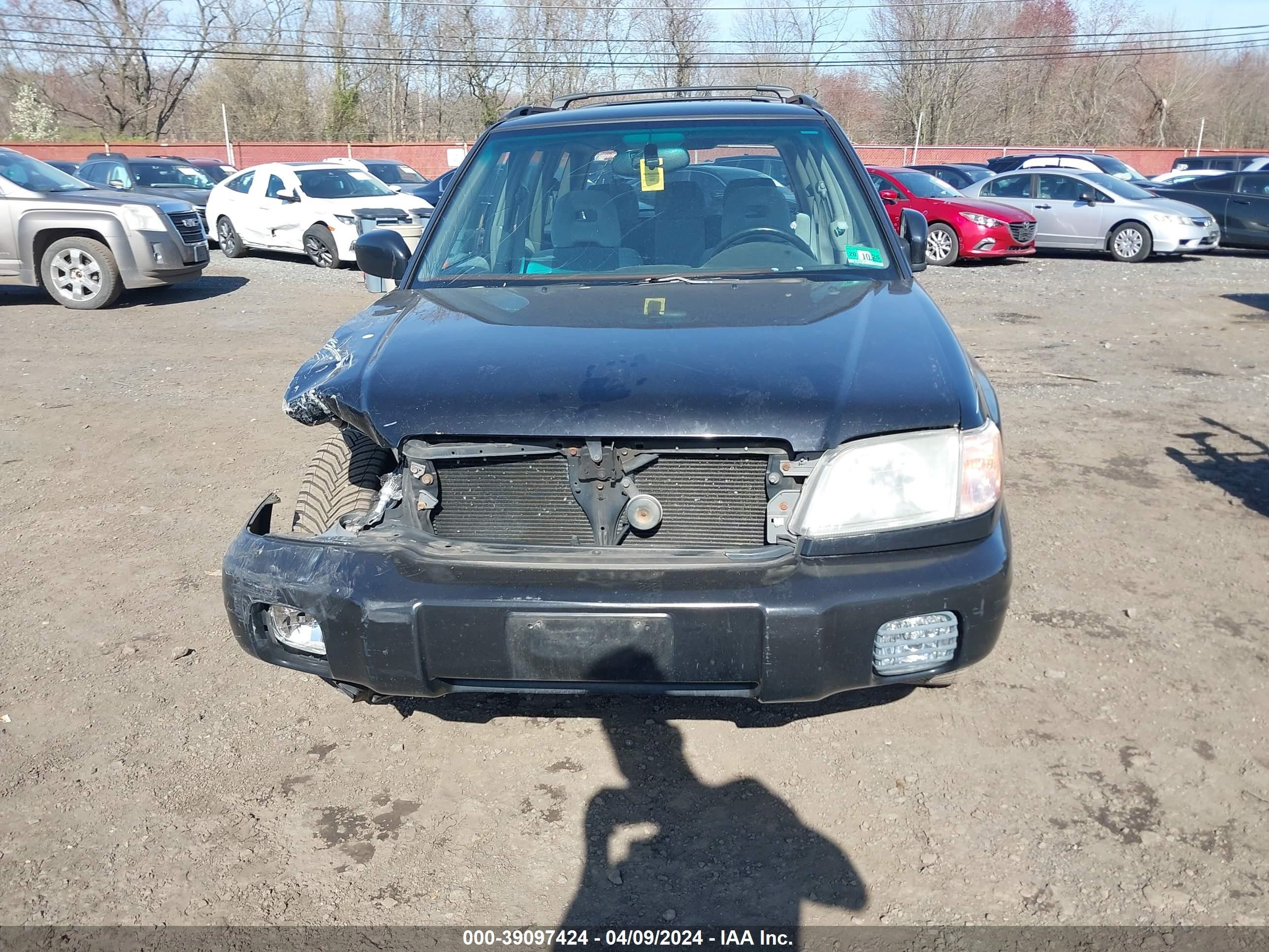 Photo 11 VIN: JF1SF65662H725653 - SUBARU FORESTER 