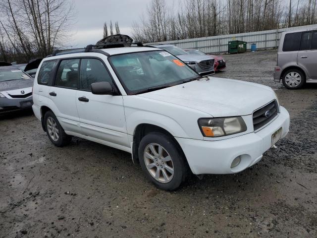 Photo 3 VIN: JF1SG65665H711088 - SUBARU FORESTER 