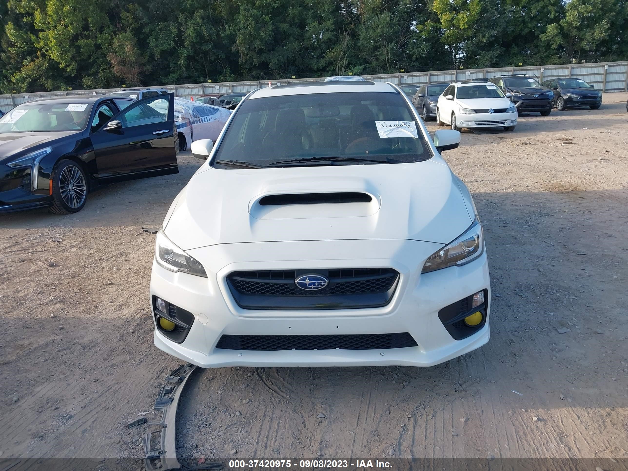 Photo 12 VIN: JF1VA1J67F8826596 - SUBARU WRX 