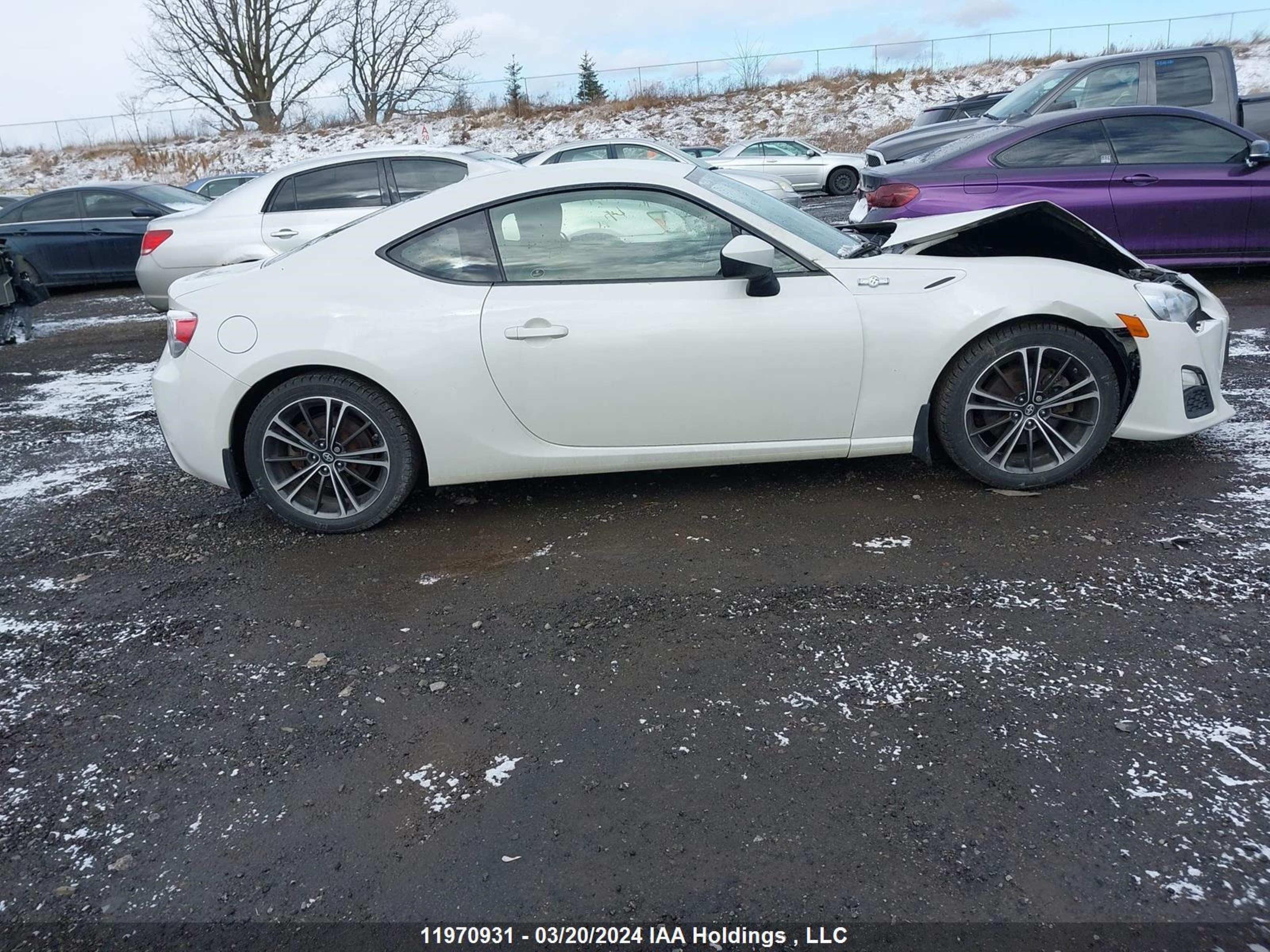 Photo 12 VIN: JF1ZNAA13F8710998 - SCION FR-S 