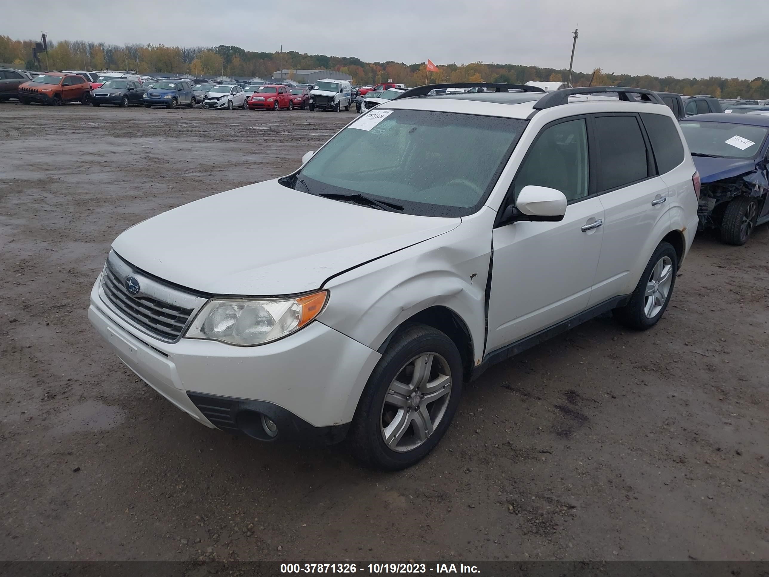 Photo 1 VIN: JF2SH63639H752330 - SUBARU FORESTER 