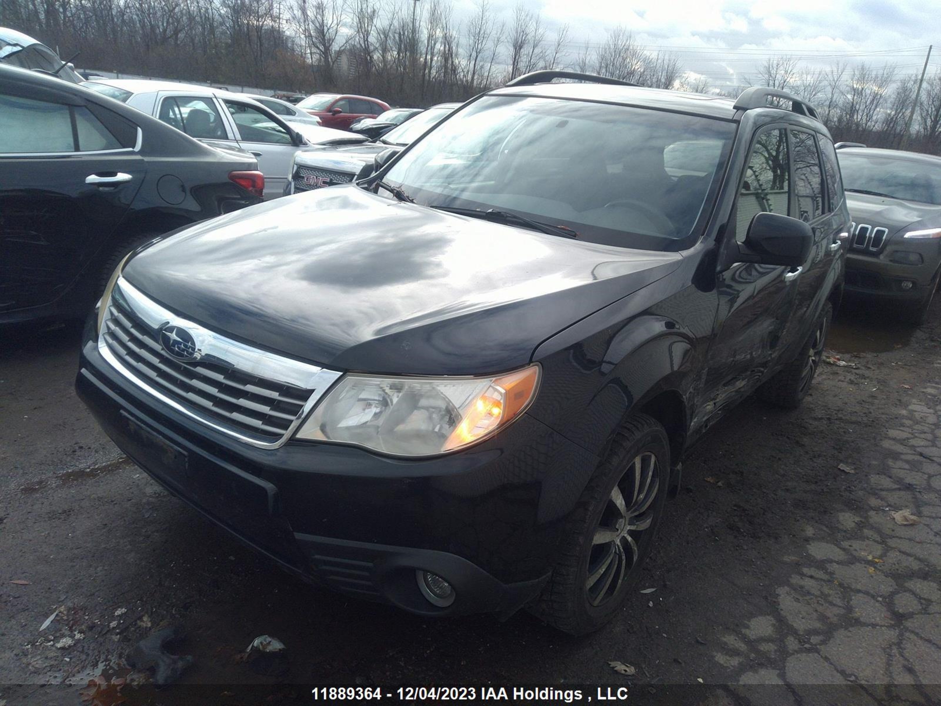 Photo 1 VIN: JF2SH6CC3AH795009 - SUBARU FORESTER 