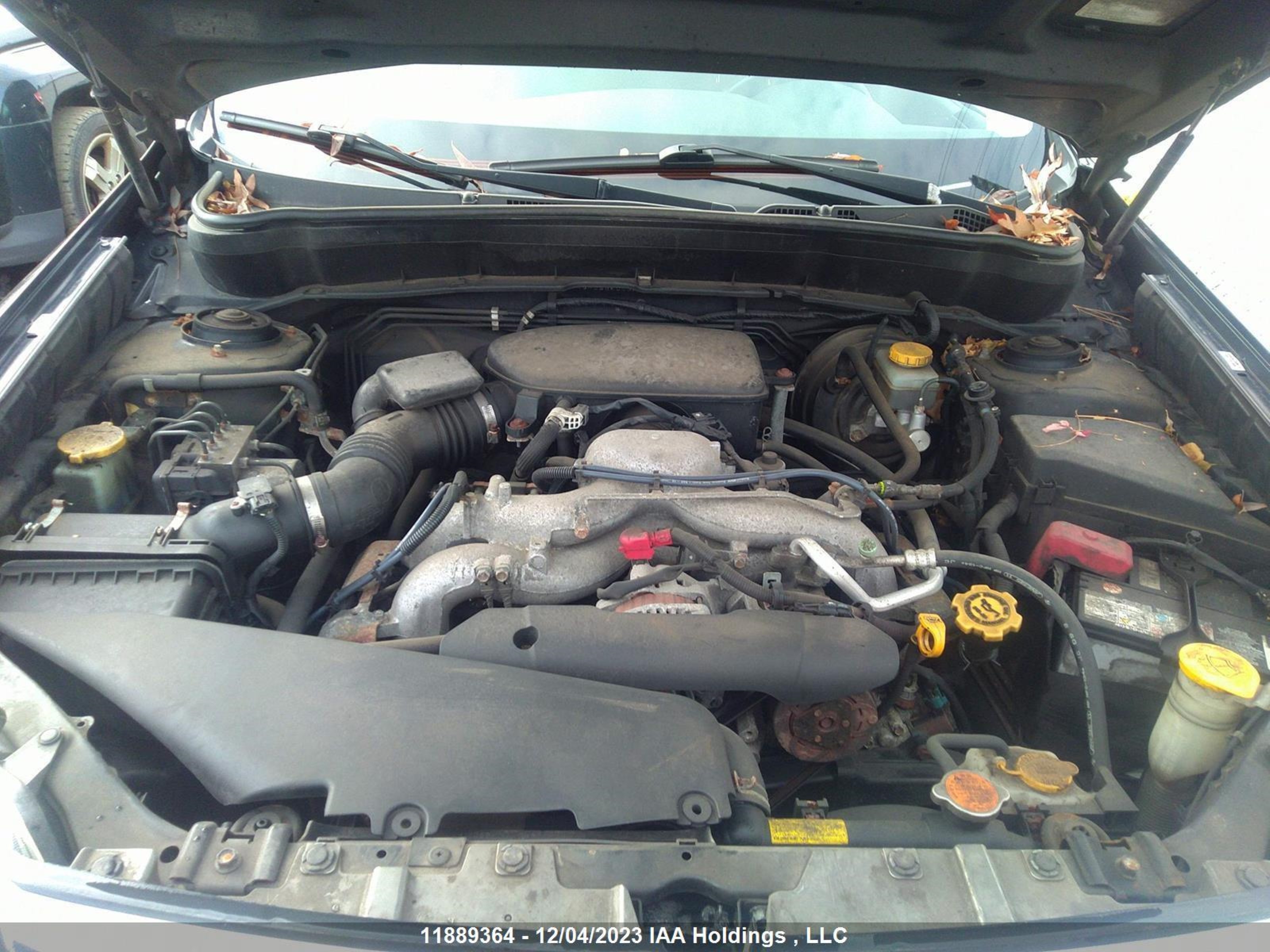 Photo 9 VIN: JF2SH6CC3AH795009 - SUBARU FORESTER 