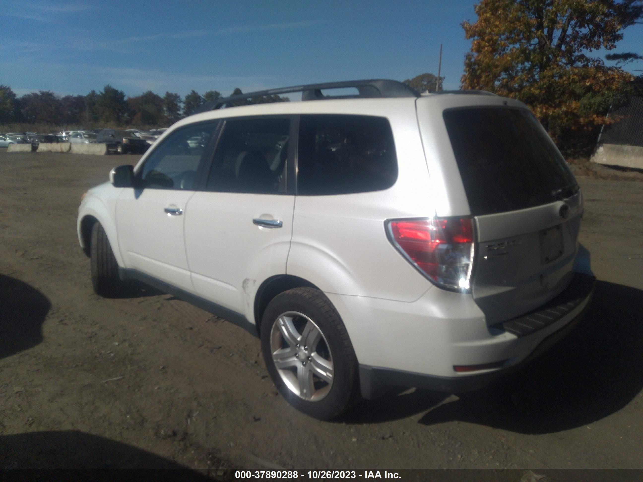 Photo 13 VIN: JF2SH6DC7AH804180 - SUBARU FORESTER 