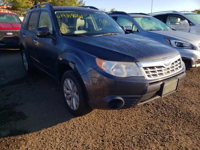 Photo 0 VIN: JF2SHACC5DH409939 - SUBARU FORESTER 2 