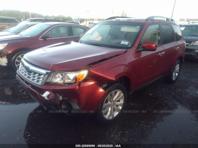 Photo 1 VIN: JF2SHADC0BG742924 - SUBARU FORESTER 