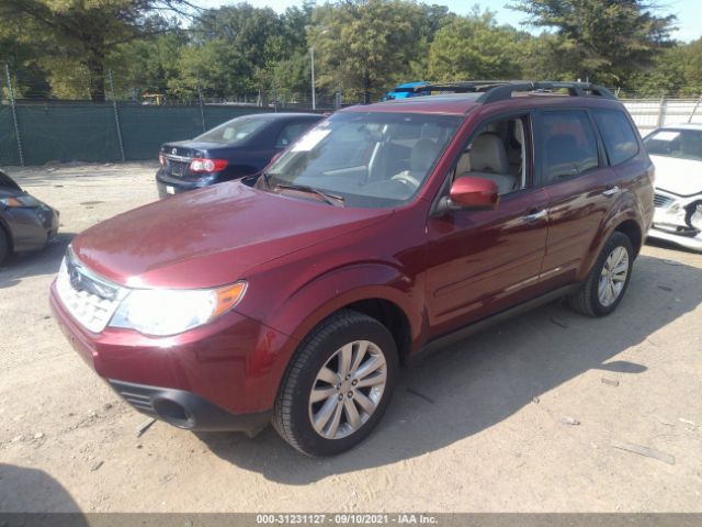 Photo 1 VIN: JF2SHADC0BH752069 - SUBARU FORESTER 