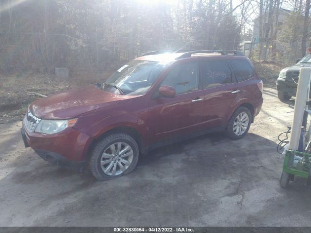 Photo 1 VIN: JF2SHADC0CH445227 - SUBARU FORESTER 