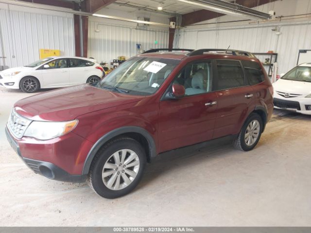 Photo 1 VIN: JF2SHADC3BH781758 - SUBARU FORESTER 