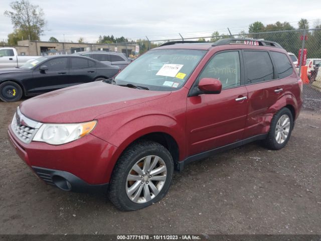 Photo 1 VIN: JF2SHADC4BH746551 - SUBARU FORESTER 