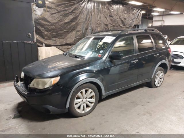 Photo 1 VIN: JF2SHADC7BH705203 - SUBARU FORESTER 