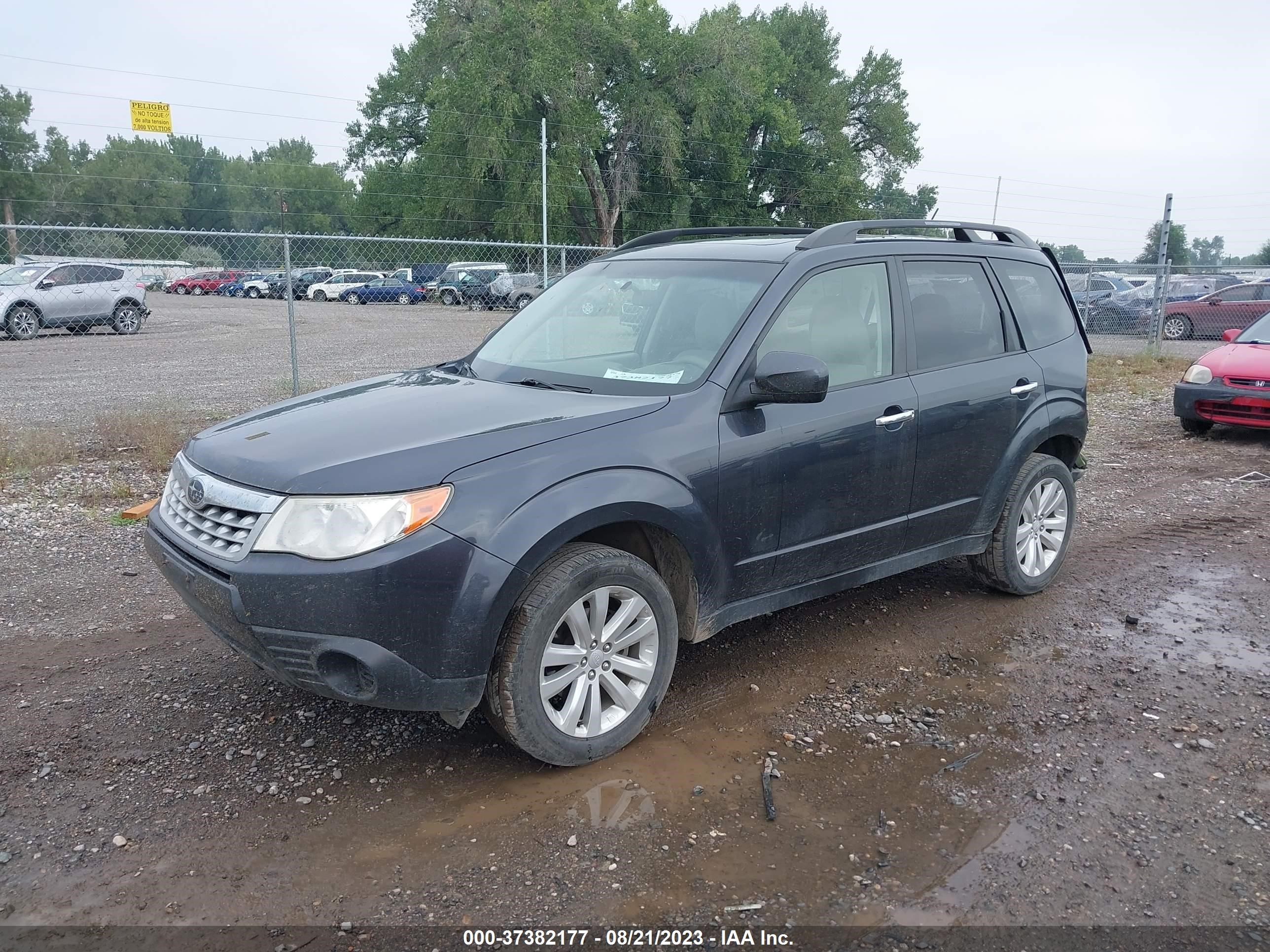 Photo 1 VIN: JF2SHADC9DH423342 - SUBARU FORESTER 