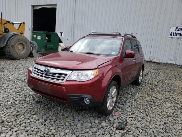 Photo 1 VIN: JF2SHAFC9BH729631 - SUBARU FORESTER L 