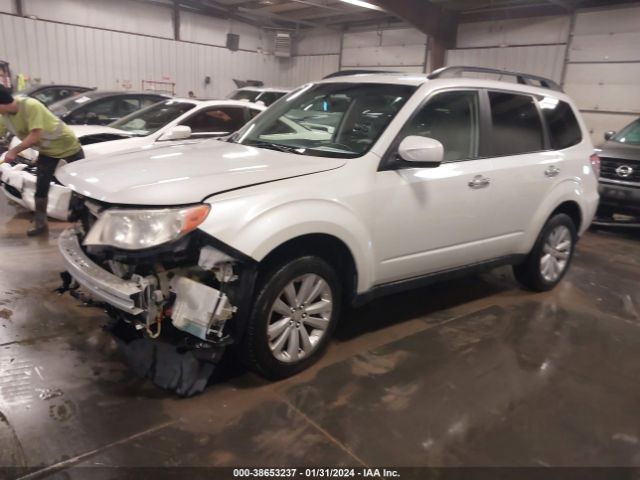 Photo 1 VIN: JF2SHBDC3BH714552 - SUBARU FORESTER 