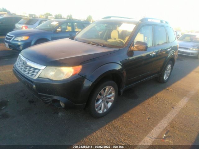 Photo 1 VIN: JF2SHBFC4BH729073 - SUBARU FORESTER 