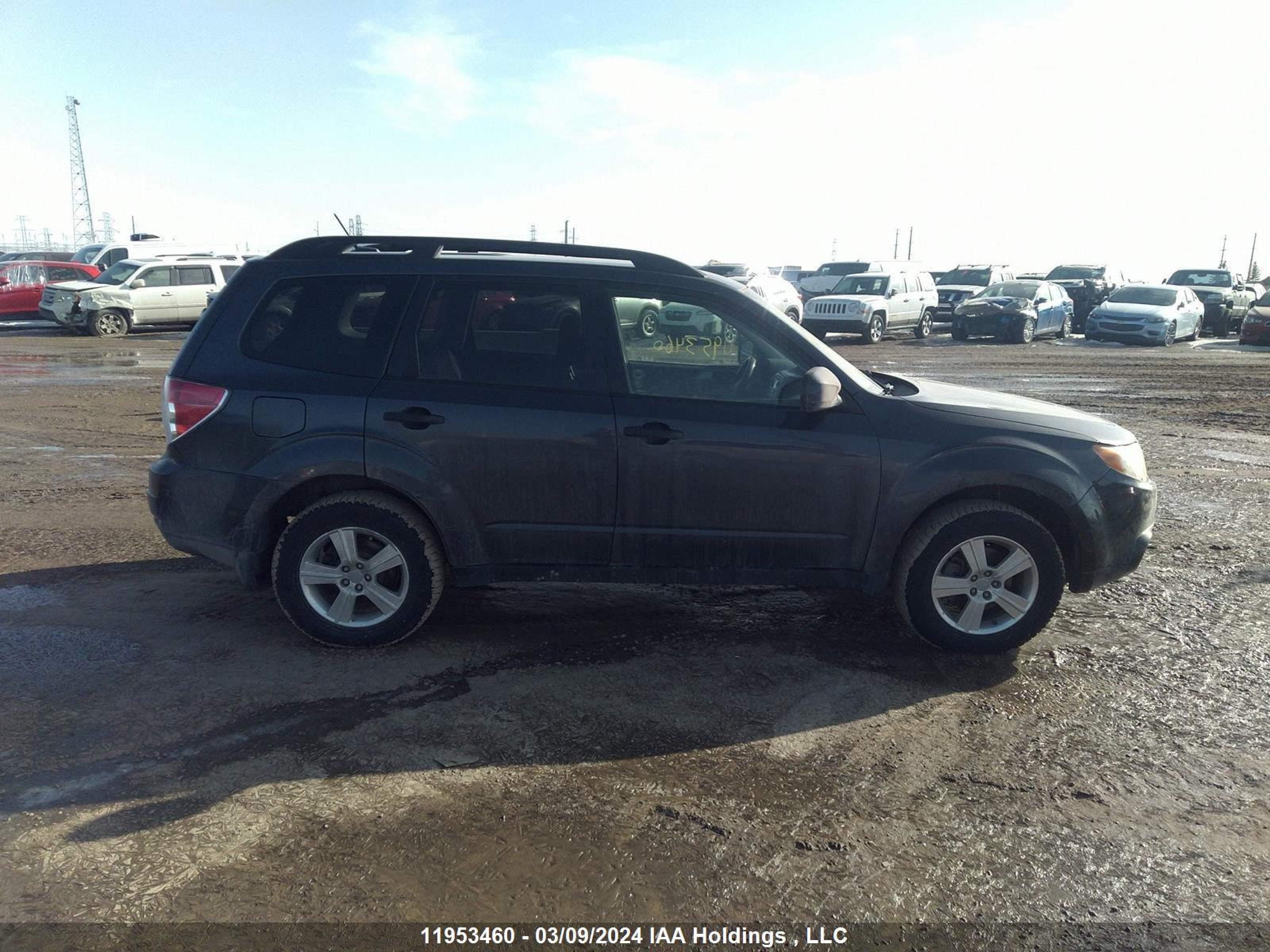 Photo 12 VIN: JF2SHCBC0DH401485 - SUBARU FORESTER 