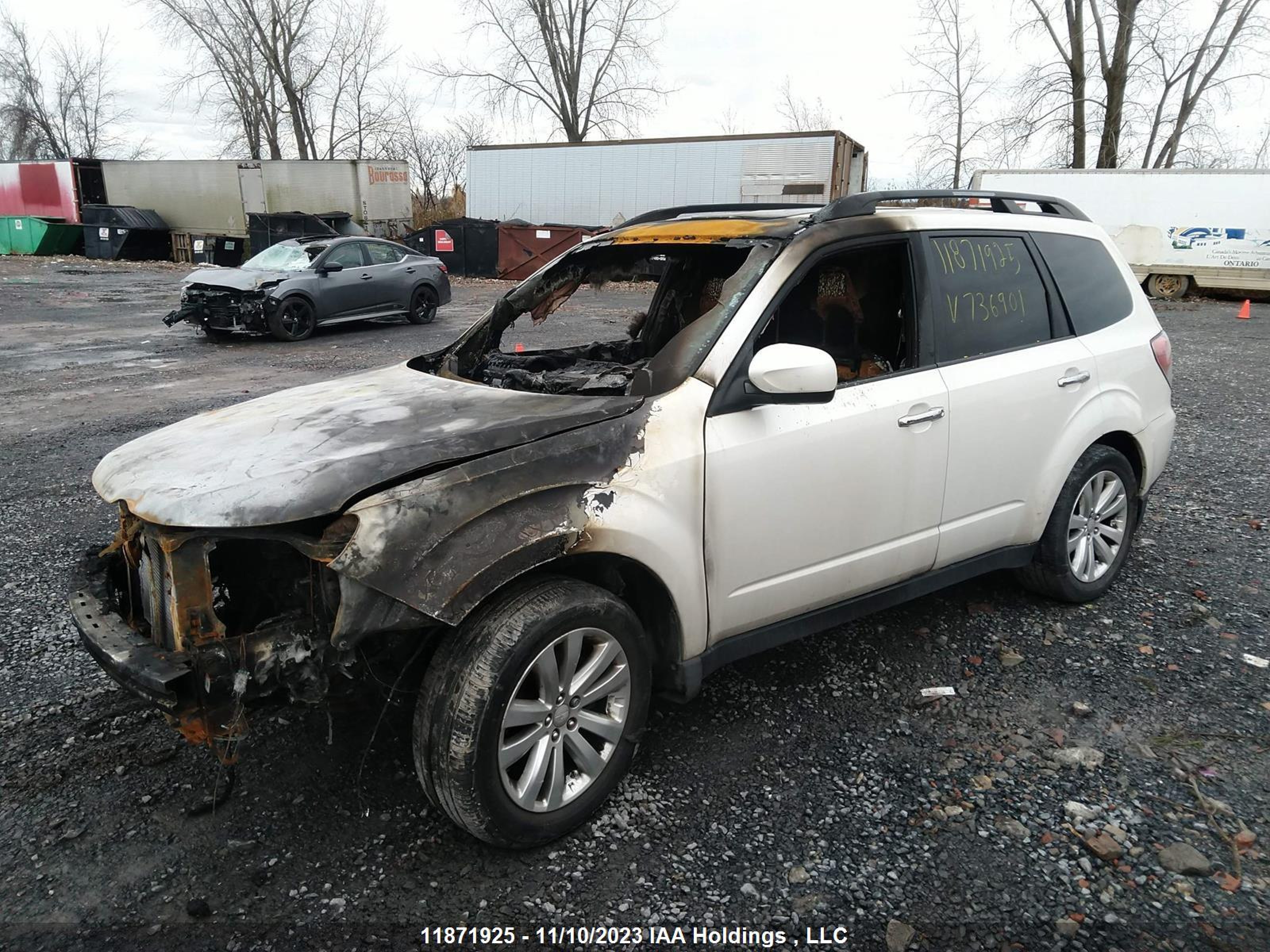 Photo 1 VIN: JF2SHCDC5BH736901 - SUBARU FORESTER 