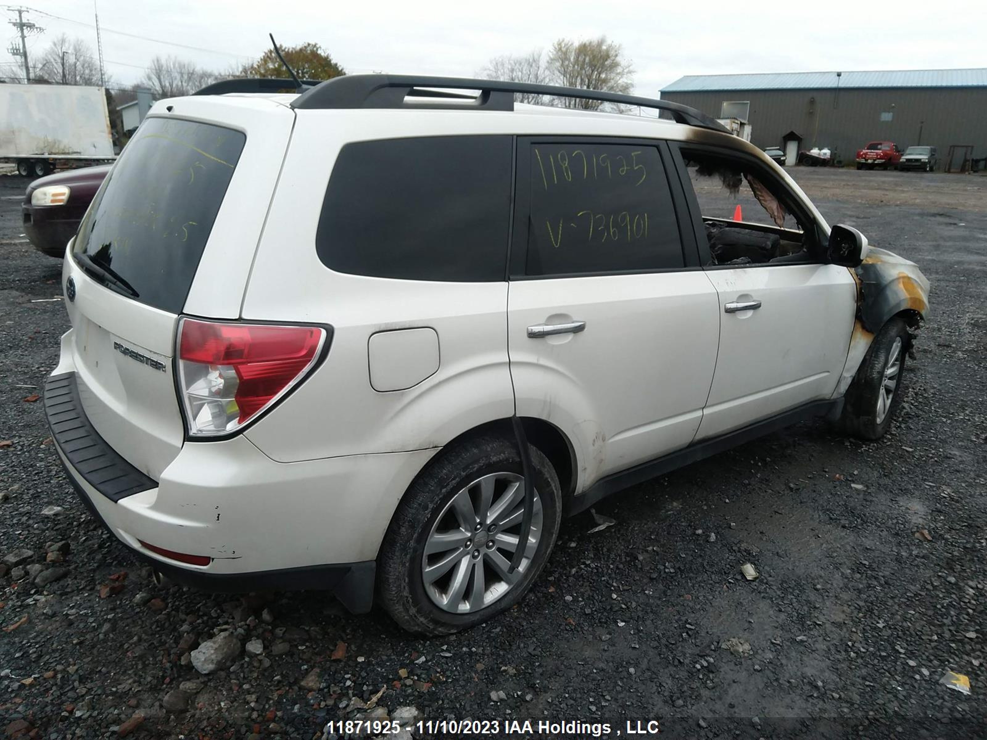 Photo 3 VIN: JF2SHCDC5BH736901 - SUBARU FORESTER 