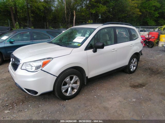 Photo 1 VIN: JF2SJABC1FH807366 - SUBARU FORESTER 