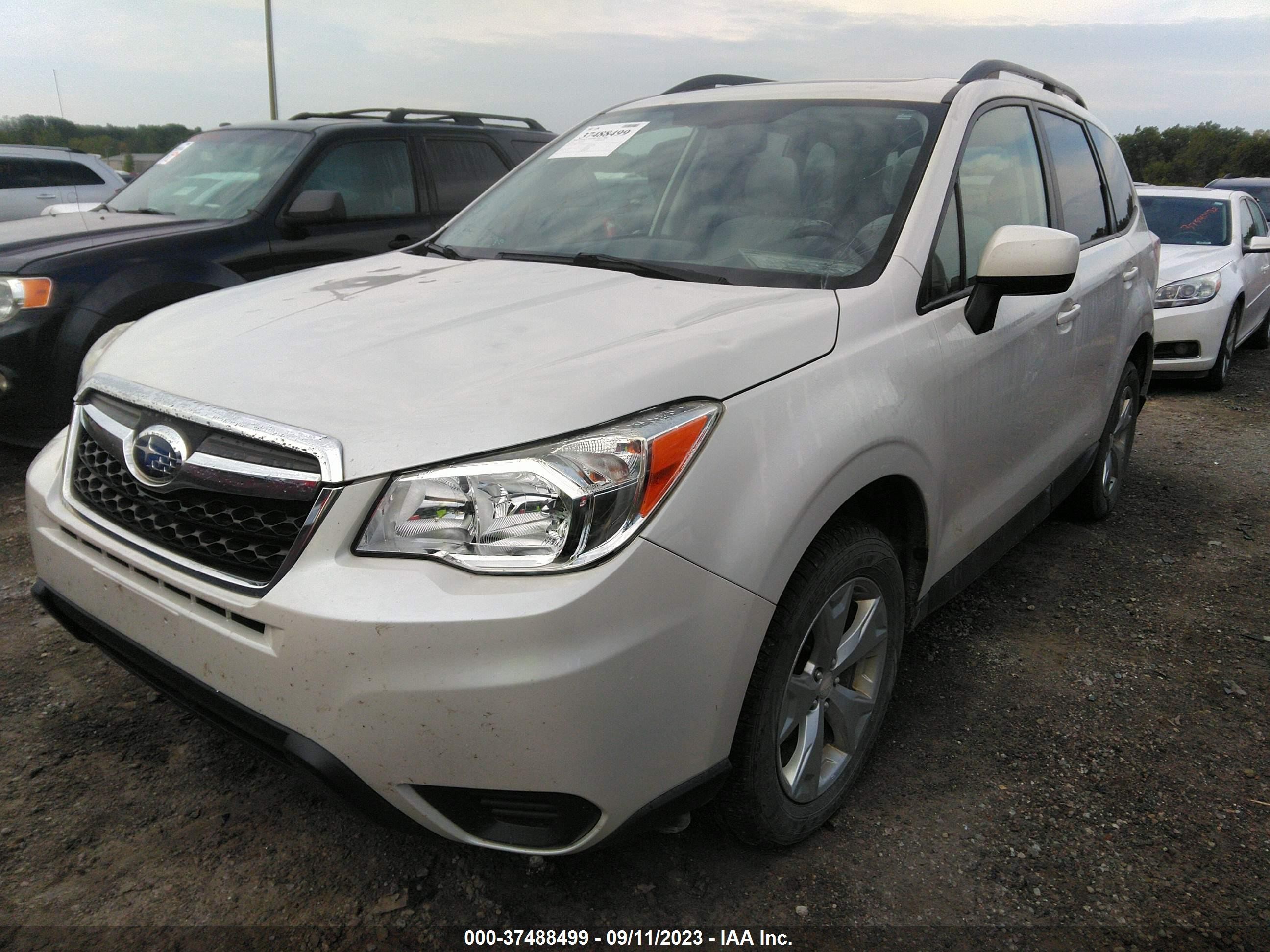 Photo 1 VIN: JF2SJADC3FH590223 - SUBARU FORESTER 