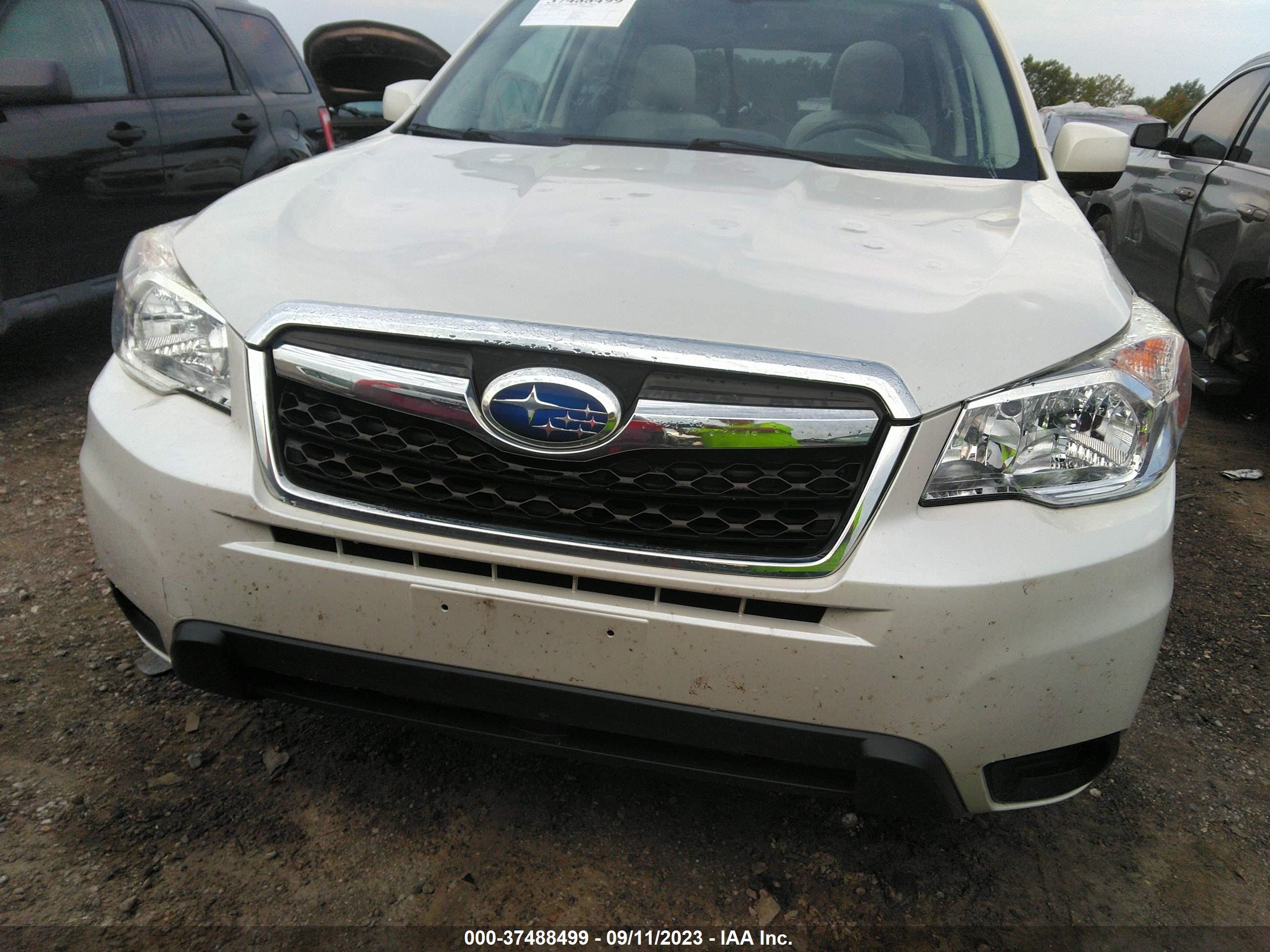 Photo 11 VIN: JF2SJADC3FH590223 - SUBARU FORESTER 
