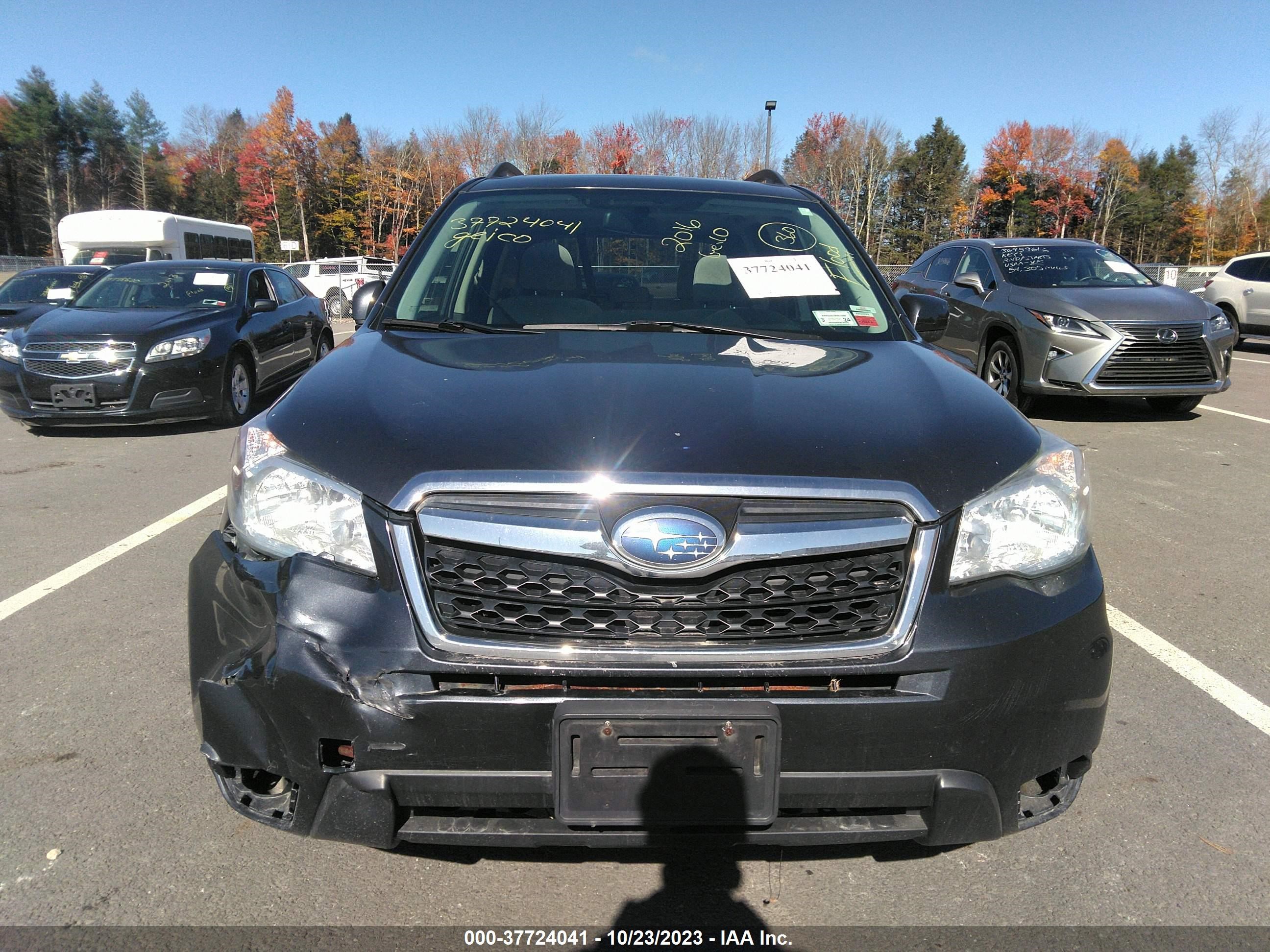 Photo 11 VIN: JF2SJADC5GH447324 - SUBARU FORESTER 