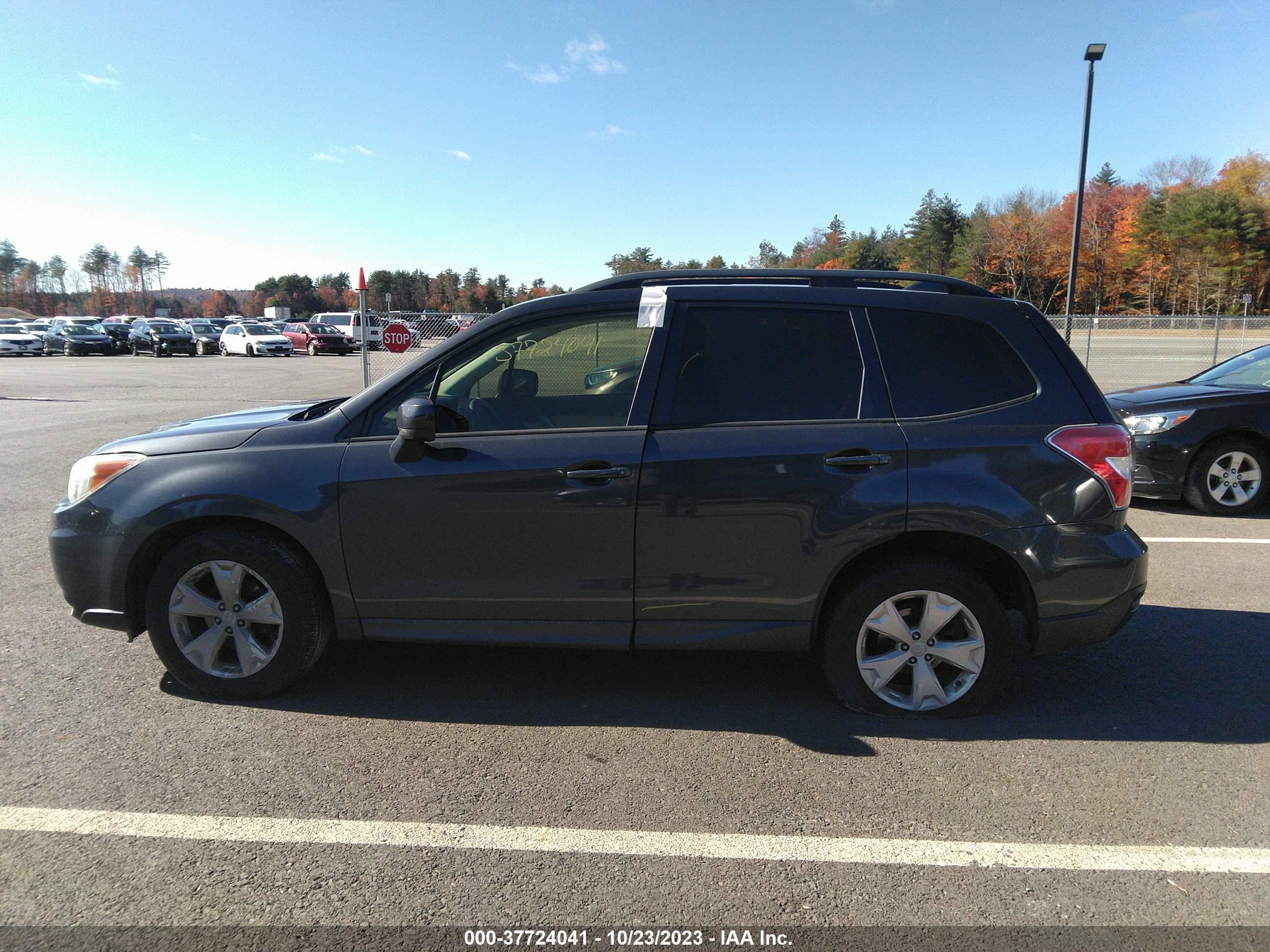 Photo 13 VIN: JF2SJADC5GH447324 - SUBARU FORESTER 