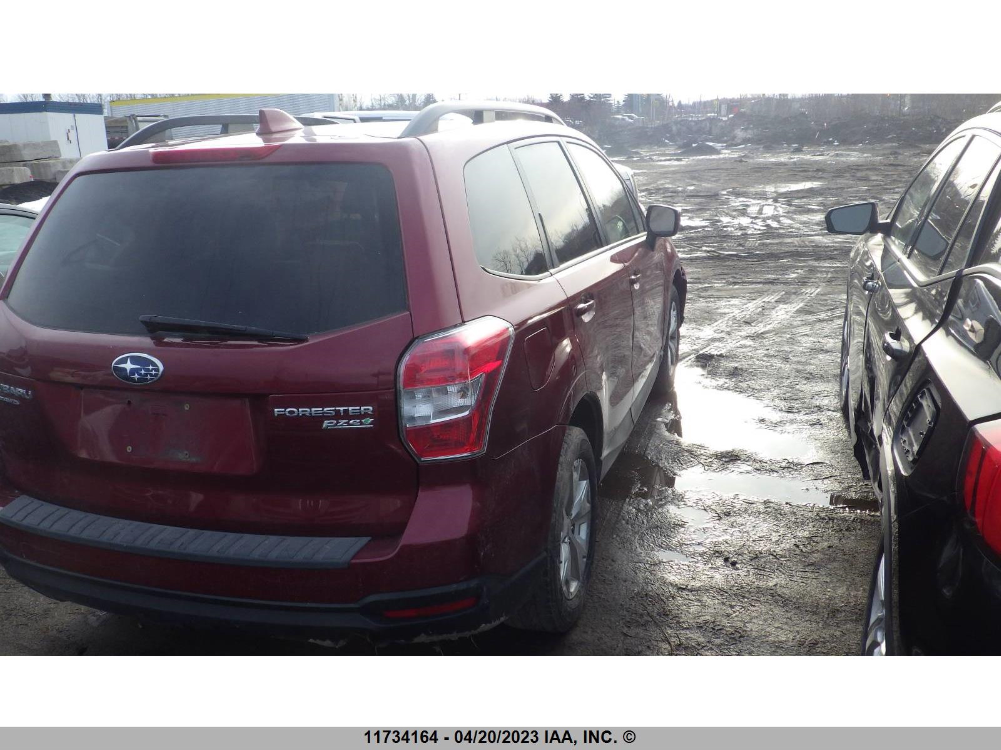 Photo 4 VIN: JF2SJADC5GH536083 - SUBARU FORESTER 