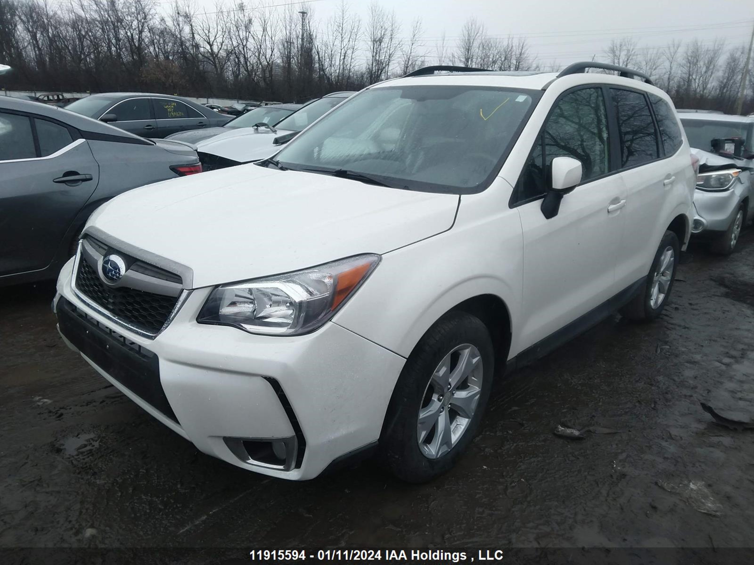 Photo 1 VIN: JF2SJCHC0FH487914 - SUBARU FORESTER 