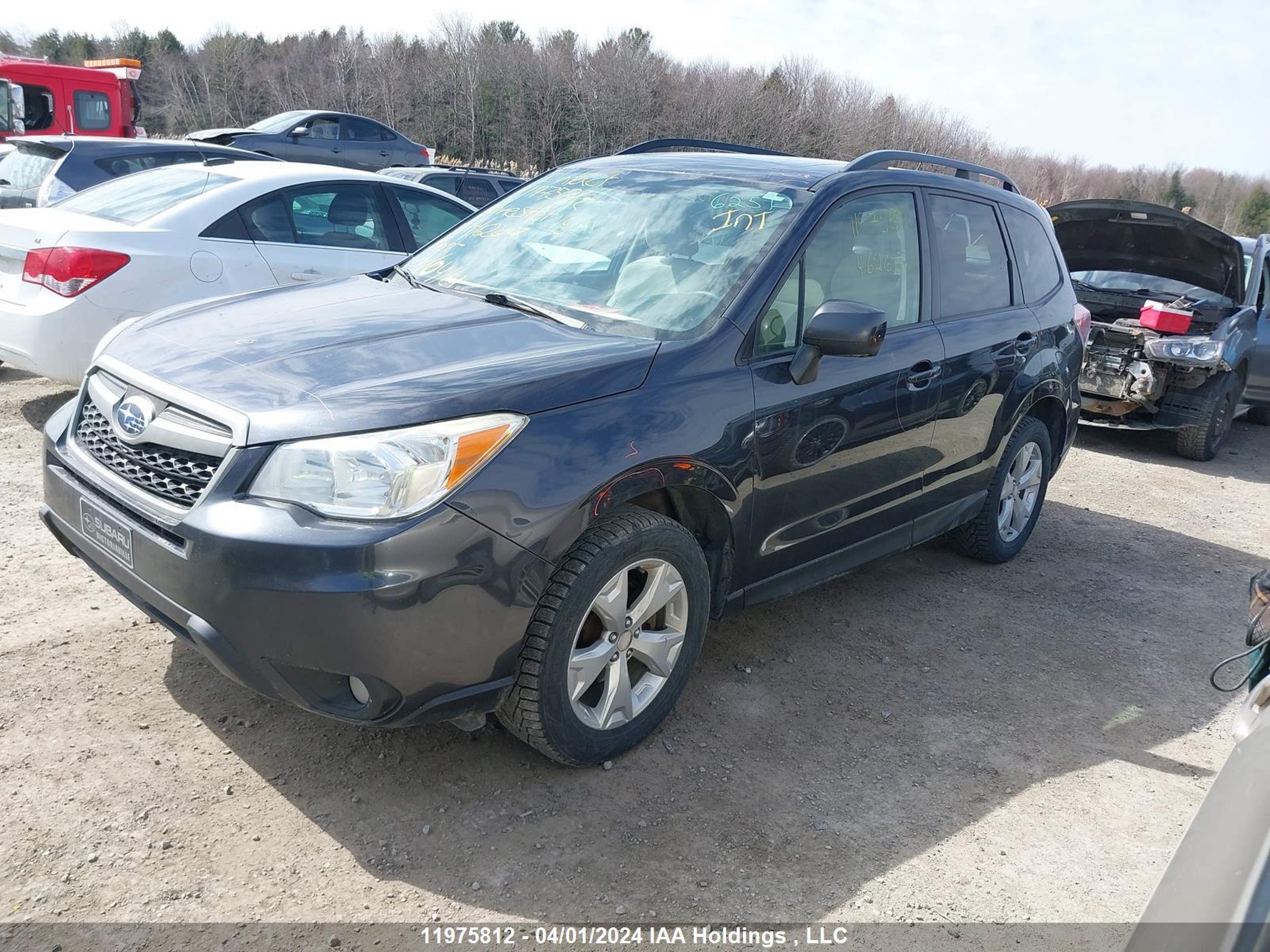 Photo 1 VIN: JF2SJCHC4FG462617 - SUBARU FORESTER 