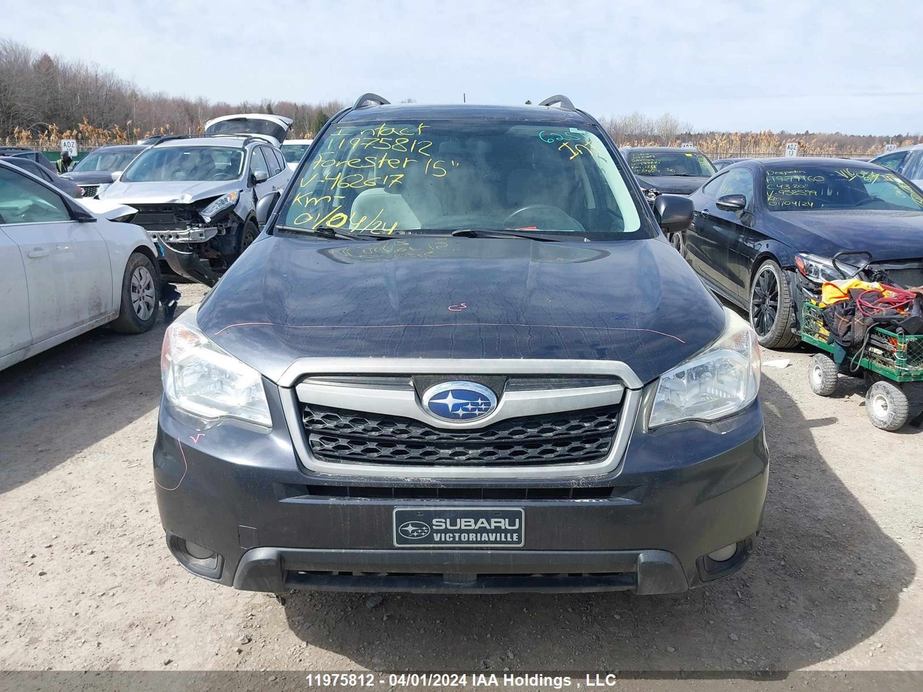 Photo 11 VIN: JF2SJCHC4FG462617 - SUBARU FORESTER 