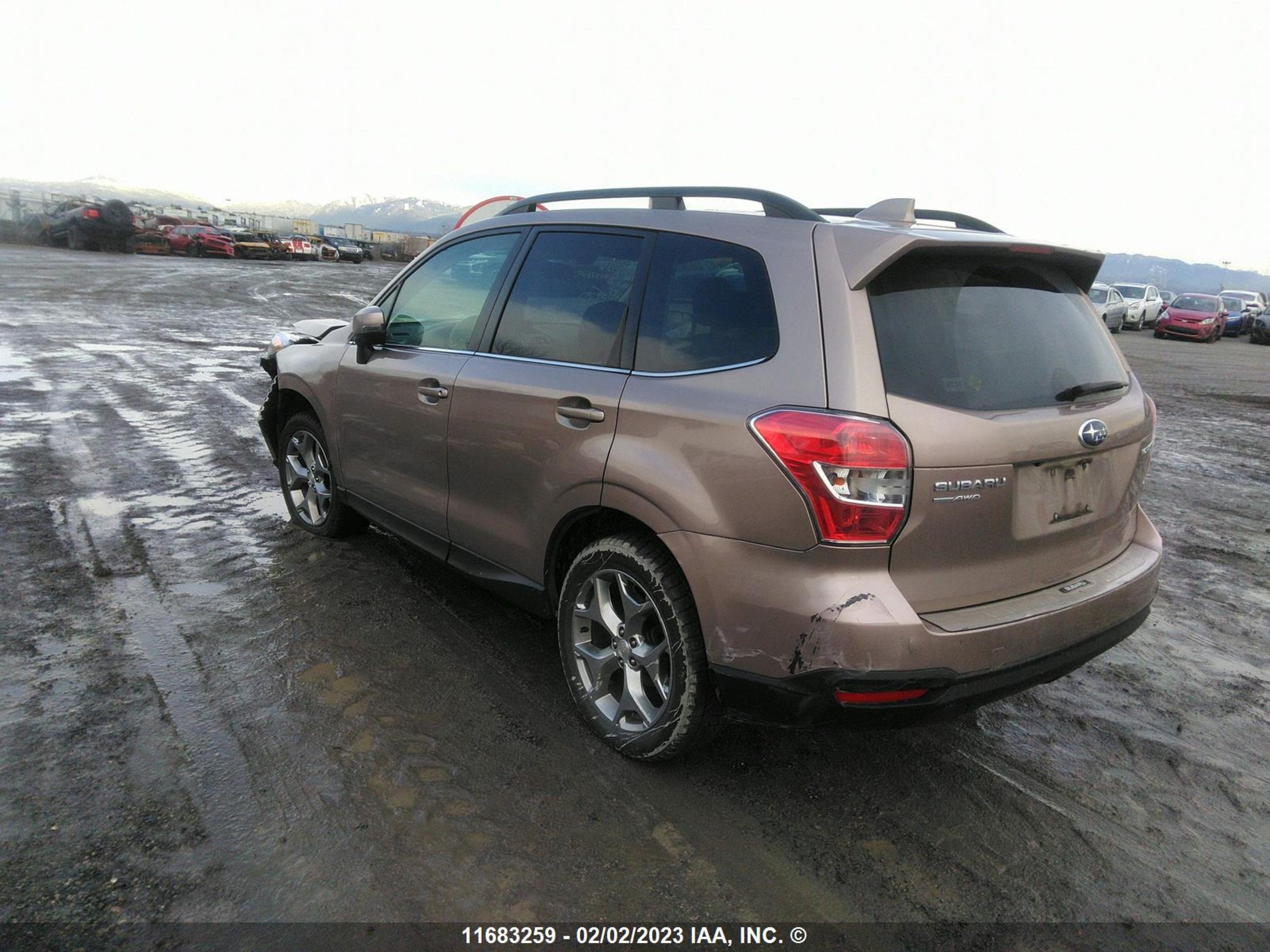 Photo 2 VIN: JF2SJCXC4GH466728 - SUBARU FORESTER 